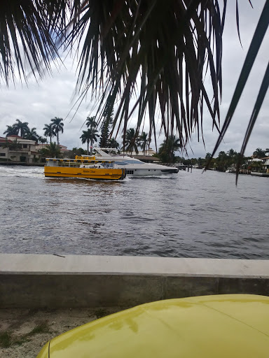 State Park «Hugh Taylor Birch State Park», reviews and photos, 3109 E Sunrise Blvd, Fort Lauderdale, FL 33304, USA