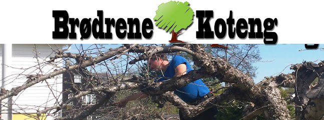 Brødrene Koteng