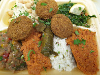 Falafel du Restaurant libanais Comptoir de Beyrouth à Lyon - n°4