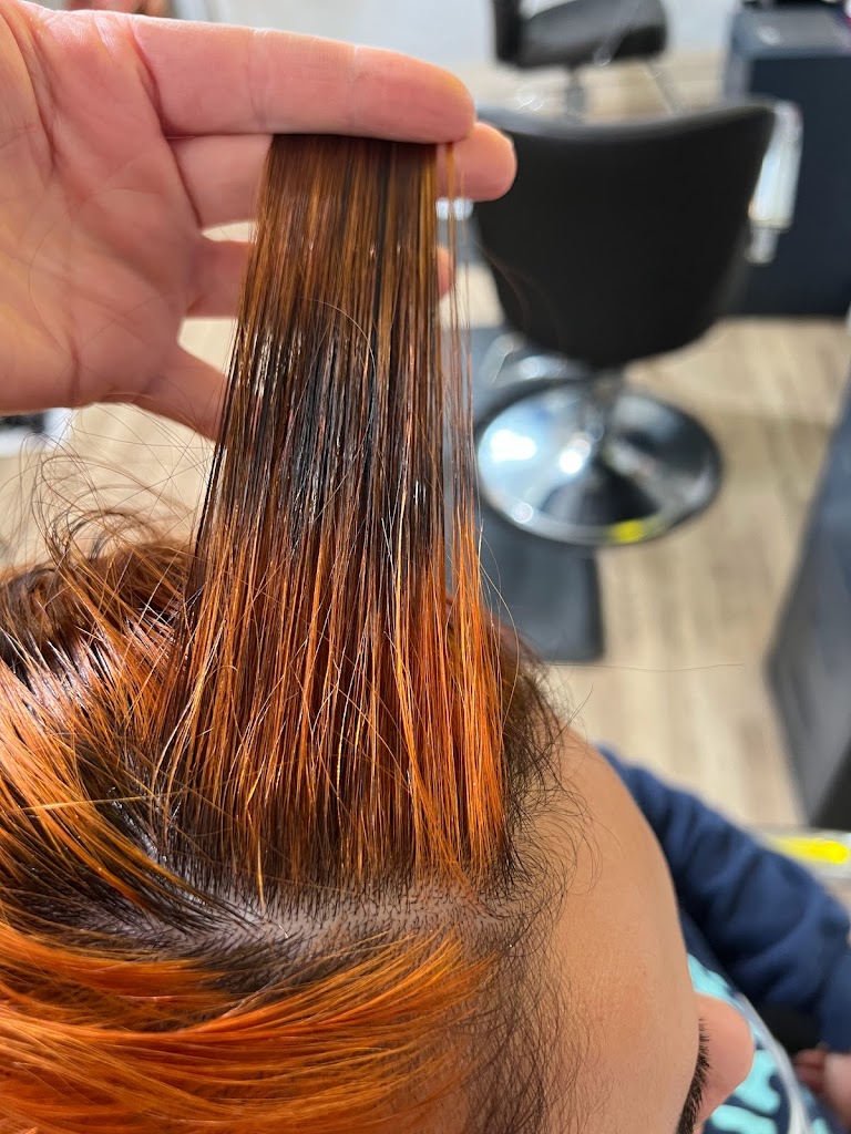 Renaissance Salon South LLC 34668
