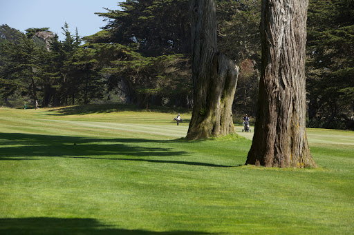 Golf Course «TPC Harding Park», reviews and photos, 99 Harding Rd, San Francisco, CA 94132, USA