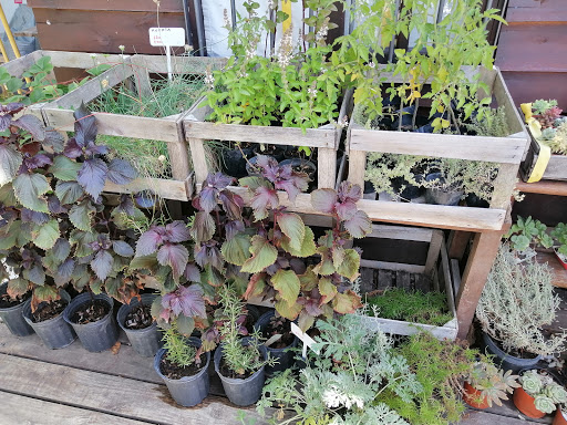 Full Garden