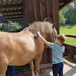 Photo n°5 de l'avis de Tanja.c fait le 23/06/2020 à 09:39 sur le  Familotel Monikas Ferienhof à Eslohe
