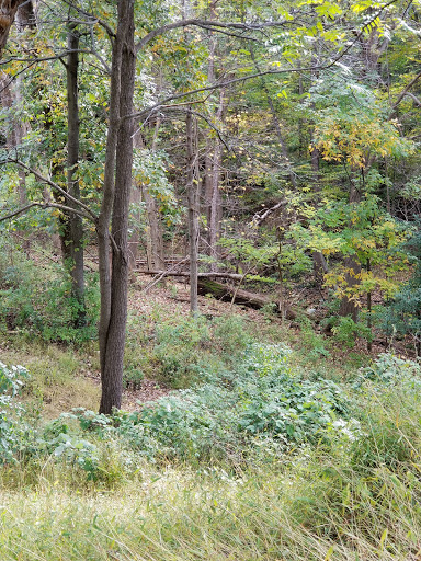 Historical Landmark «Montgomery Place Historic Estate», reviews and photos, 26 Gardener Way, Red Hook, NY 12571, USA