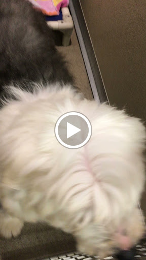 Grocery Store «North Shore Farms», reviews and photos, 770 Port Washington Blvd, Port Washington, NY 11050, USA