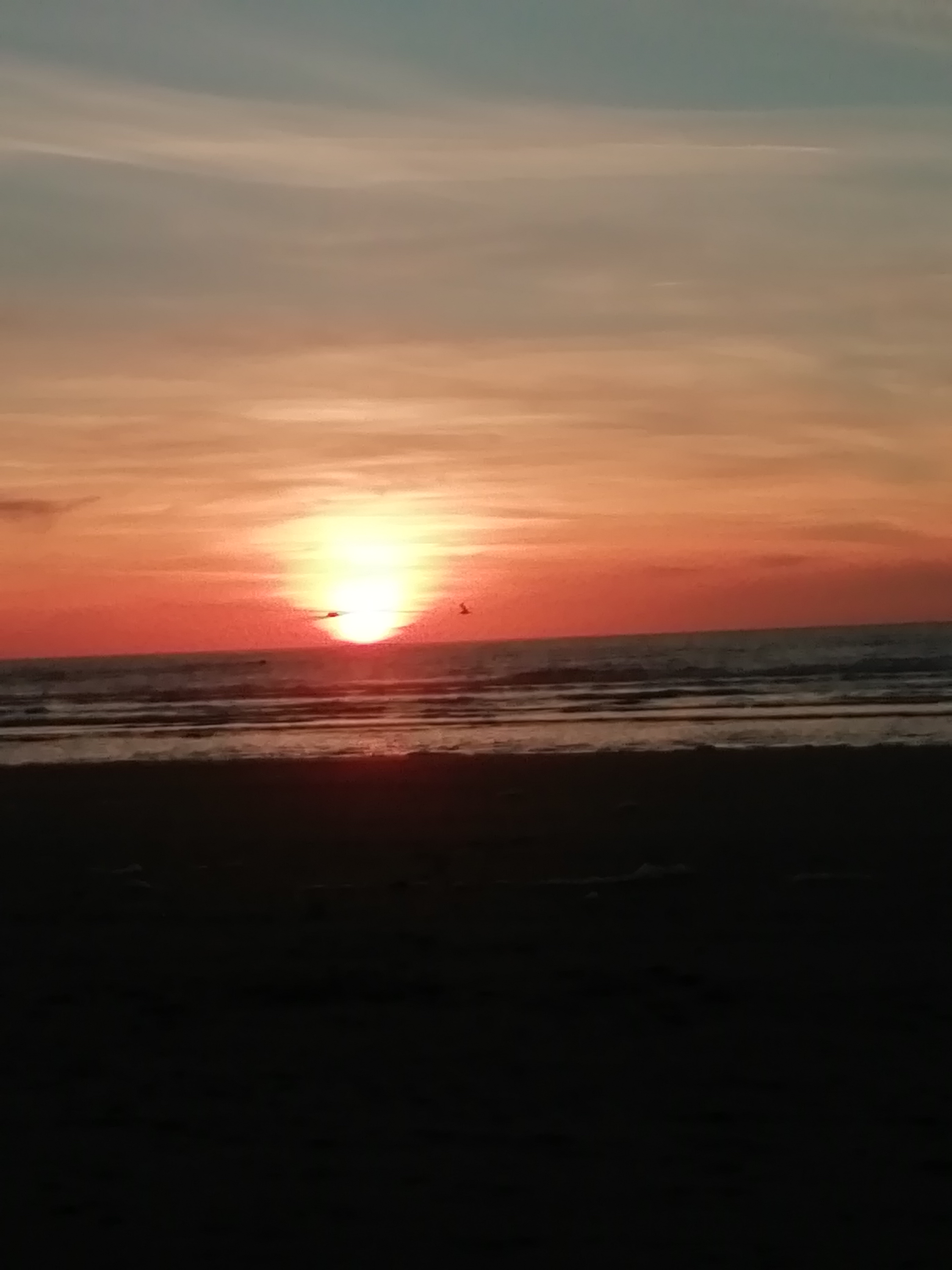 Photo n° 2 de l'avis de Christine.a fait le 13/02/2019 à 08:57
