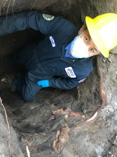 Plumber «Benjamin Franklin Plumbing Novato», reviews and photos