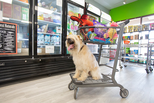 Pet Supply Store «Bark Avenue Pet Supply», reviews and photos, 3109 E McKellips Rd, Mesa, AZ 85213, USA