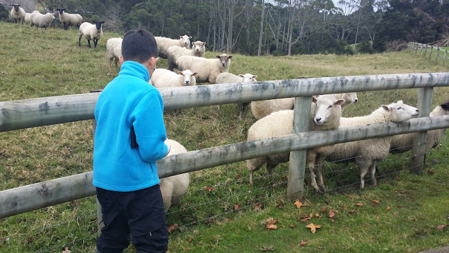 Glenrock Earthmovers - Landscaper