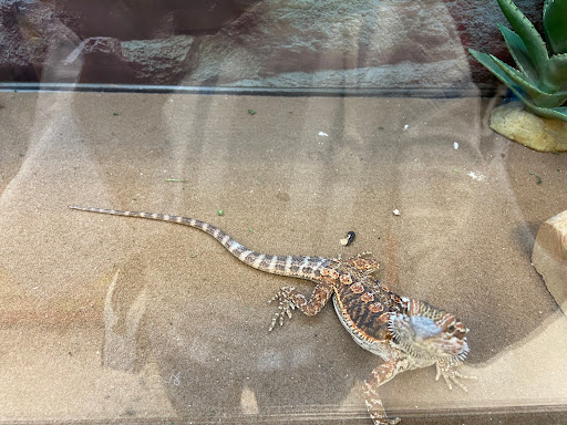 Pet Supply Store «Petco Animal Supplies», reviews and photos, 3012 Bridgepointe Pkwy, San Mateo, CA 94404, USA