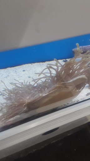 Pet Supply Store «Pet Club Rancho Cordova», reviews and photos, 2344 Sunrise Blvd, Rancho Cordova, CA 95670, USA