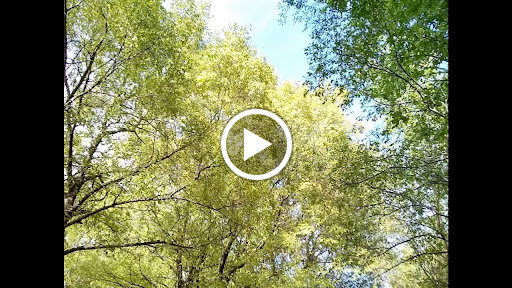 Stadium «Lawrence-Dumont Stadium», reviews and photos, 300 S Sycamore St, Wichita, KS 67213, USA