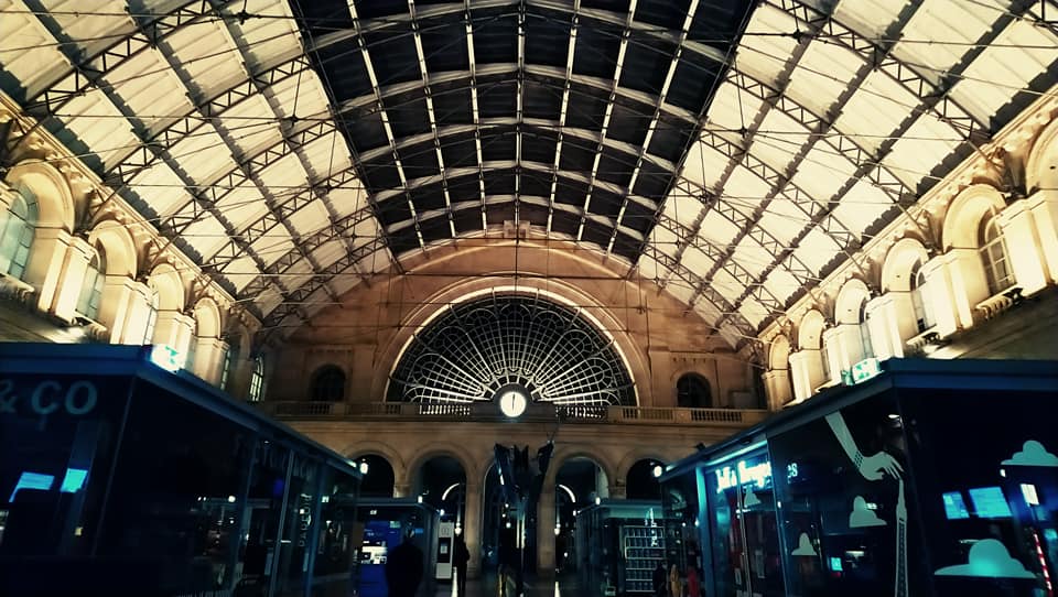 Photo n° 2 de l'avis de dexter. fait le 12/10/2023 à 20:35