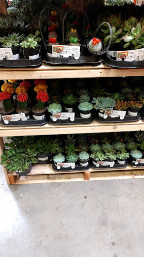 Home Improvement Store «The Home Depot», reviews and photos, 1749 Newman Rd, Okemos, MI 48864, USA