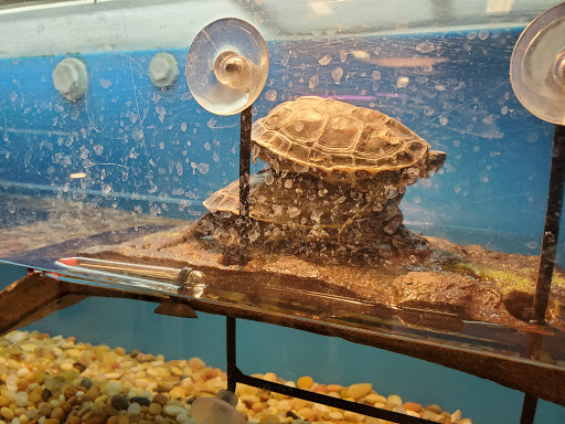 Pet Supply Store «PetSmart», reviews and photos, 355 Howe Ave, Cuyahoga Falls, OH 44221, USA