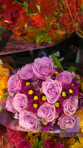 Shopping Mall «Sunrise Plaza Shopping Center», reviews and photos, 656 Wellwood Ave, Lindenhurst, NY 11757, USA