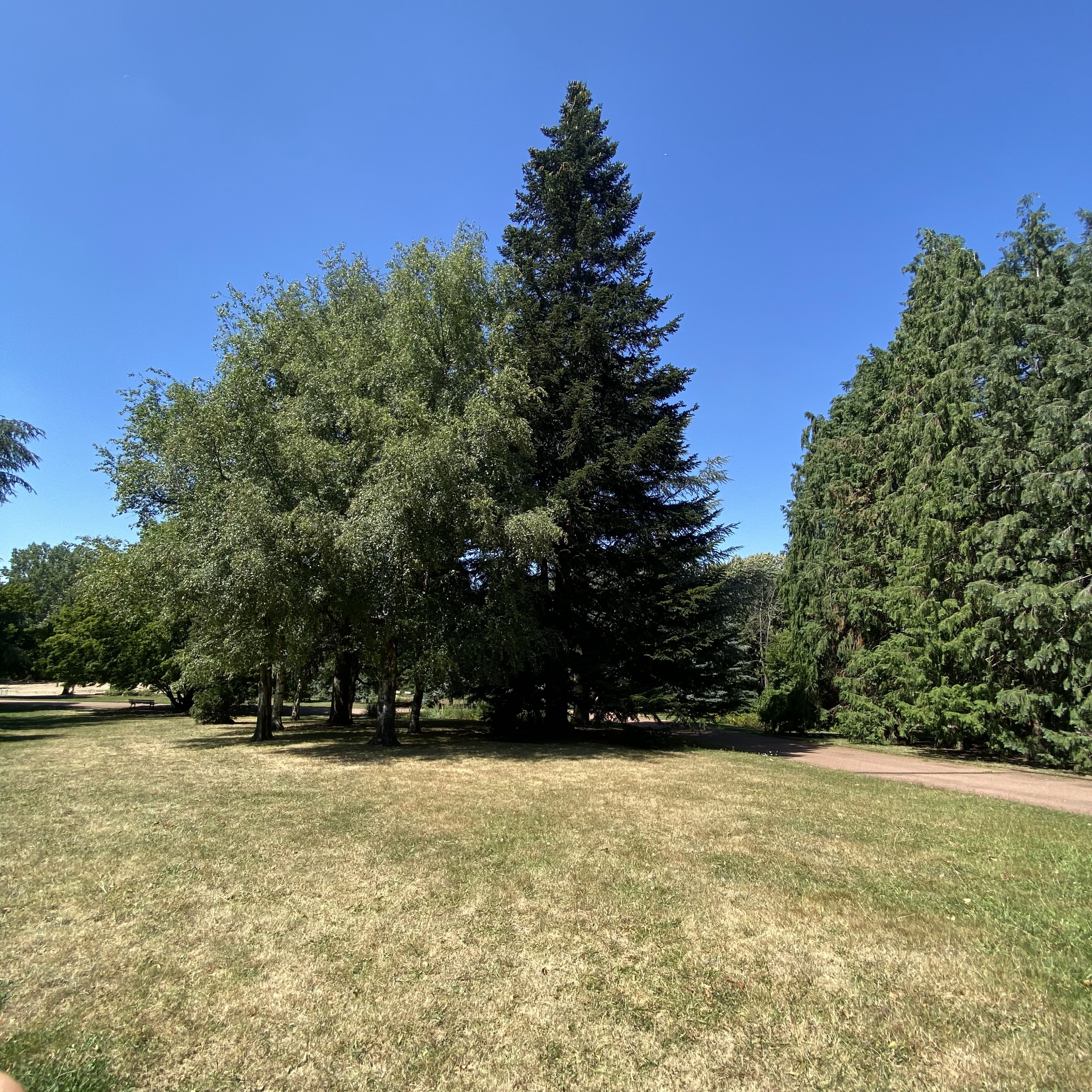 Photo n° 2 de l'avis de jimmy.u fait le 11/08/2023 à 20:50