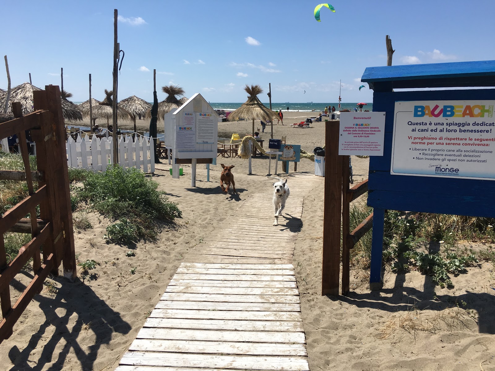 Zdjęcie Bocca di Leone beach - dobre miejsce przyjazne zwierzętom domowym na wakacje