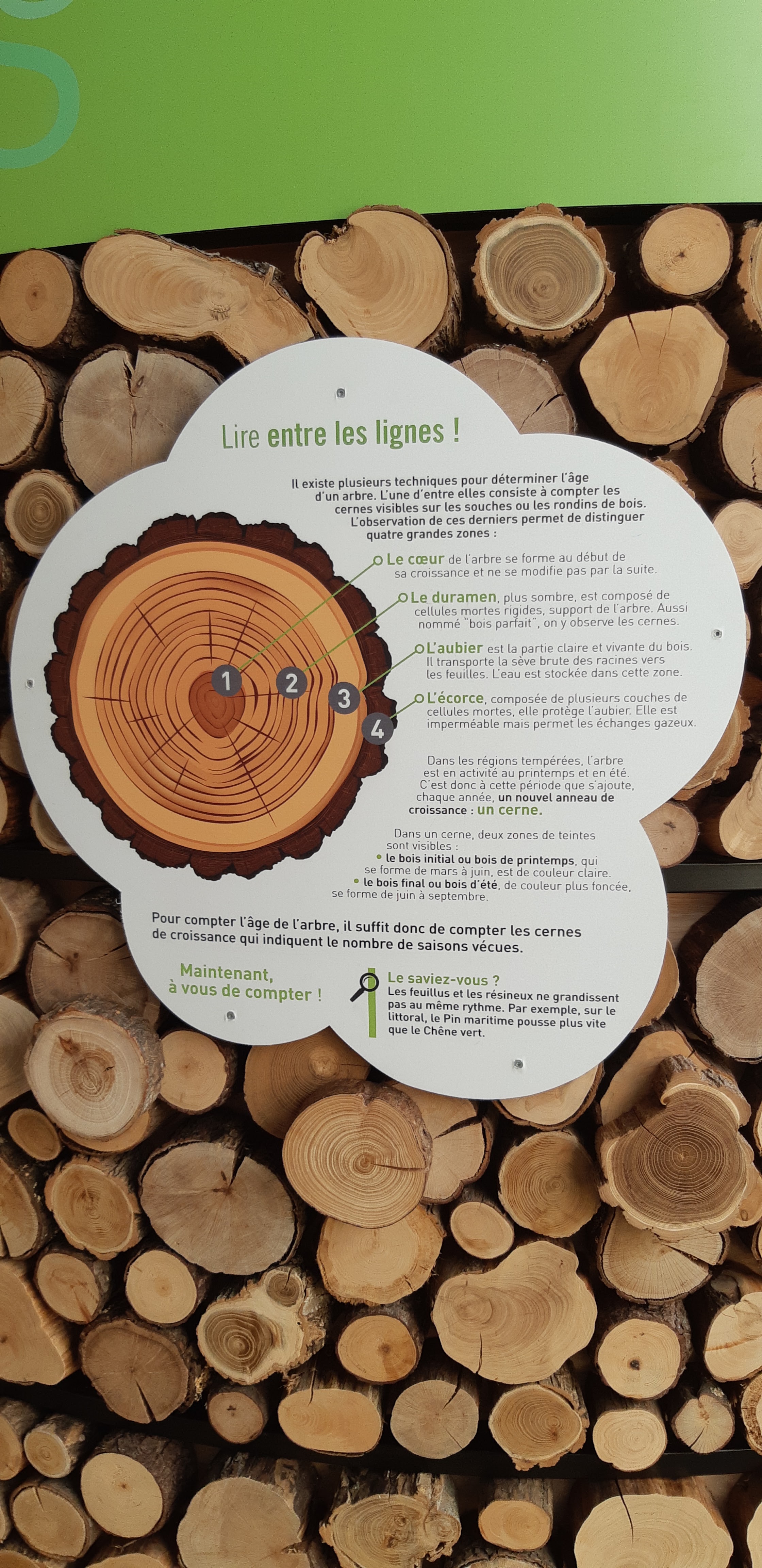 Photo n° 9 de l'avis de Yannick.a fait le 15/10/2018 à 10:38