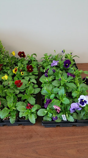 Construction Company «Gray & Son Inc», reviews and photos, 430 W Padonia Rd, Timonium, MD 21093, USA