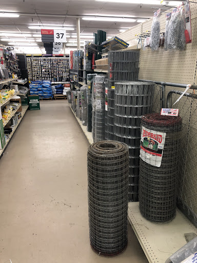 Home Improvement Store «Lake Isabella True Value», reviews and photos, 6050 Lake Isabella Blvd, Lake Isabella, CA 93240, USA