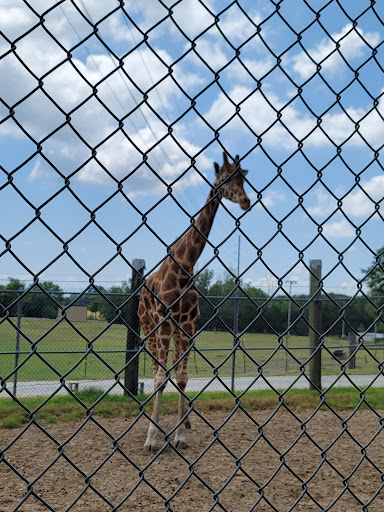 Zoo «Tupelo Buffalo Park & Zoo», reviews and photos, 2272 Coley Rd, Tupelo, MS 38801, USA