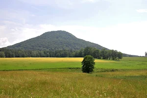 Rose Hill / Růžovský vrch image