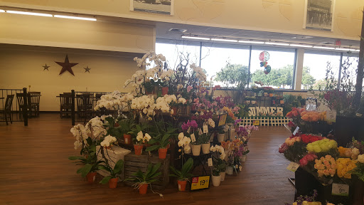 Grocery Store «Albertsons», reviews and photos, 2165 E Buckingham Dr, Richardson, TX 75081, USA