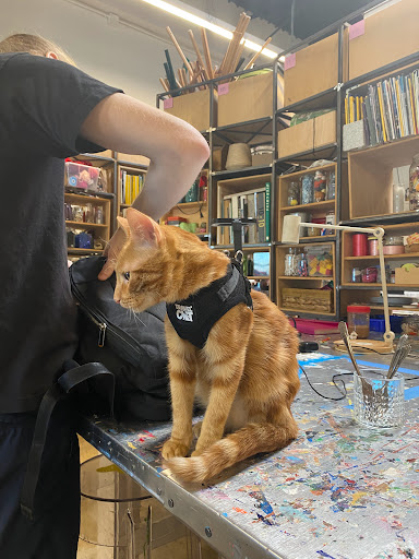 Craft Store «CRAFT», reviews and photos, 4704B E Cesar Chavez St #5, Austin, TX 78702, USA