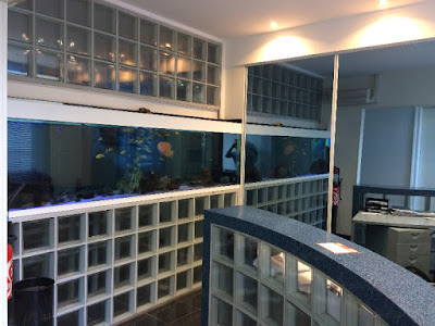 Dibas Franck à Ronchin