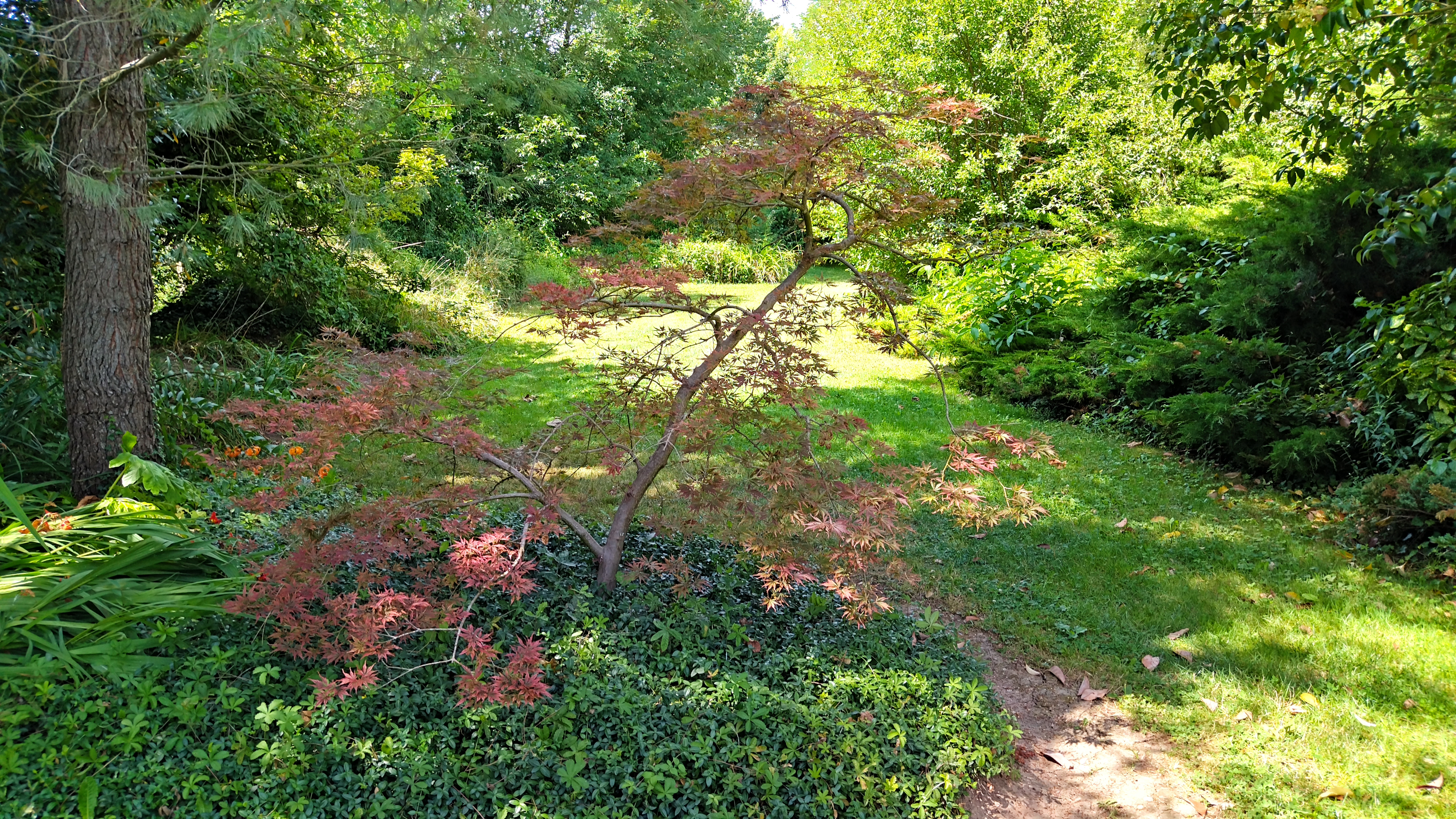 Photo n° 5 de l'avis de Laurence.a fait le 13/07/2023 à 22:46