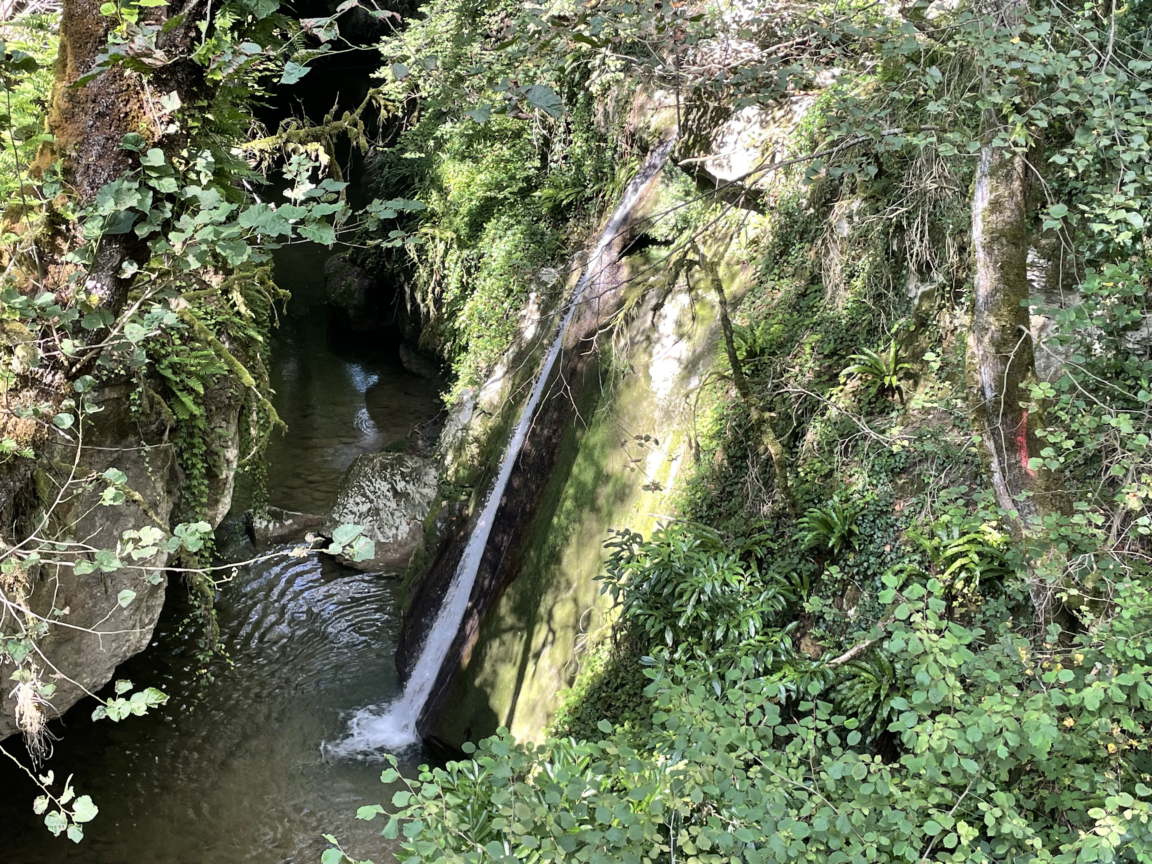Photo n° 1 de l'avis de gaelle.e fait le 18/08/2021 à 15:06