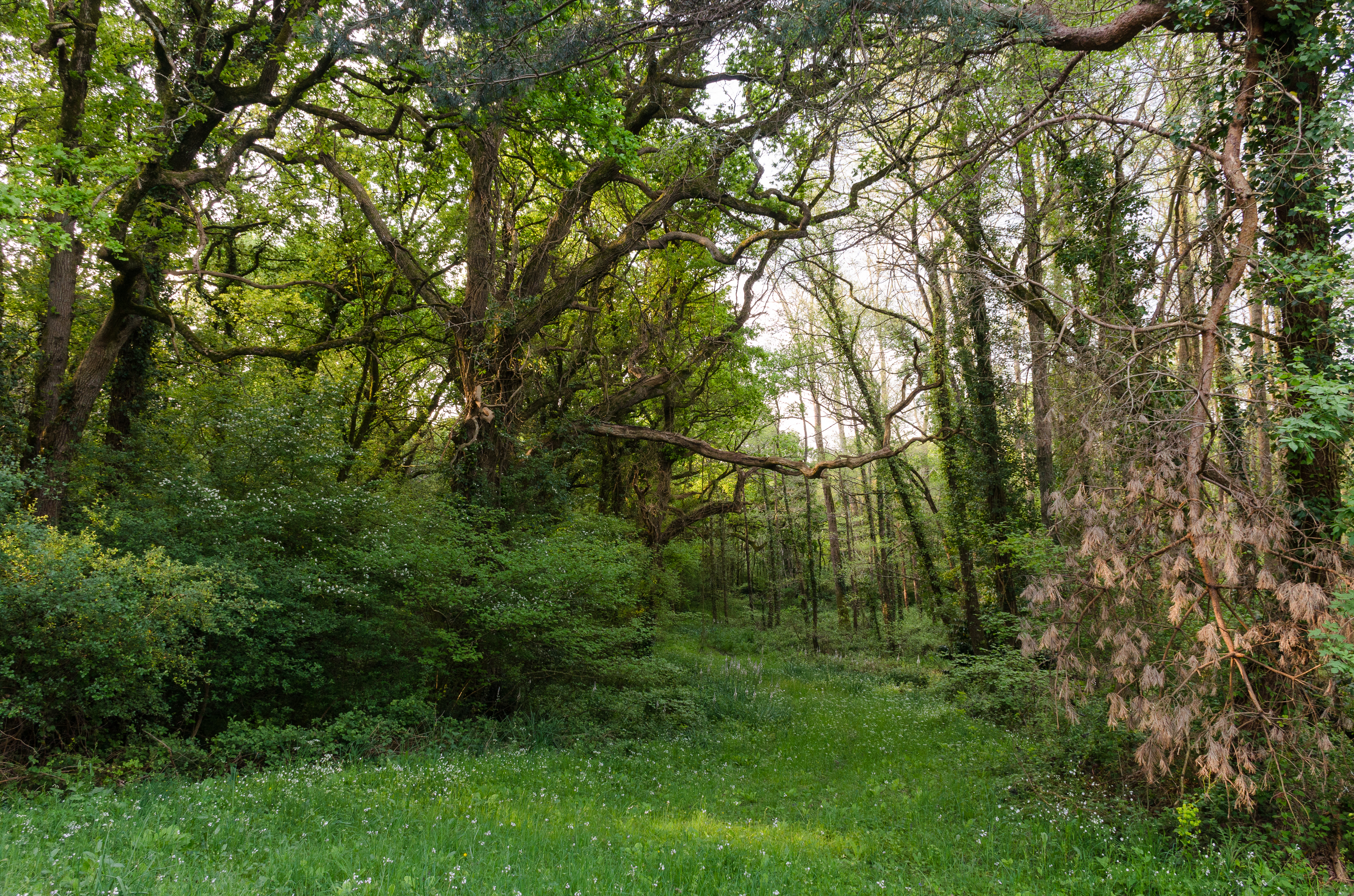 Photo n° 1 de l'avis de Jeudes. fait le 06/05/2019 à 20:00