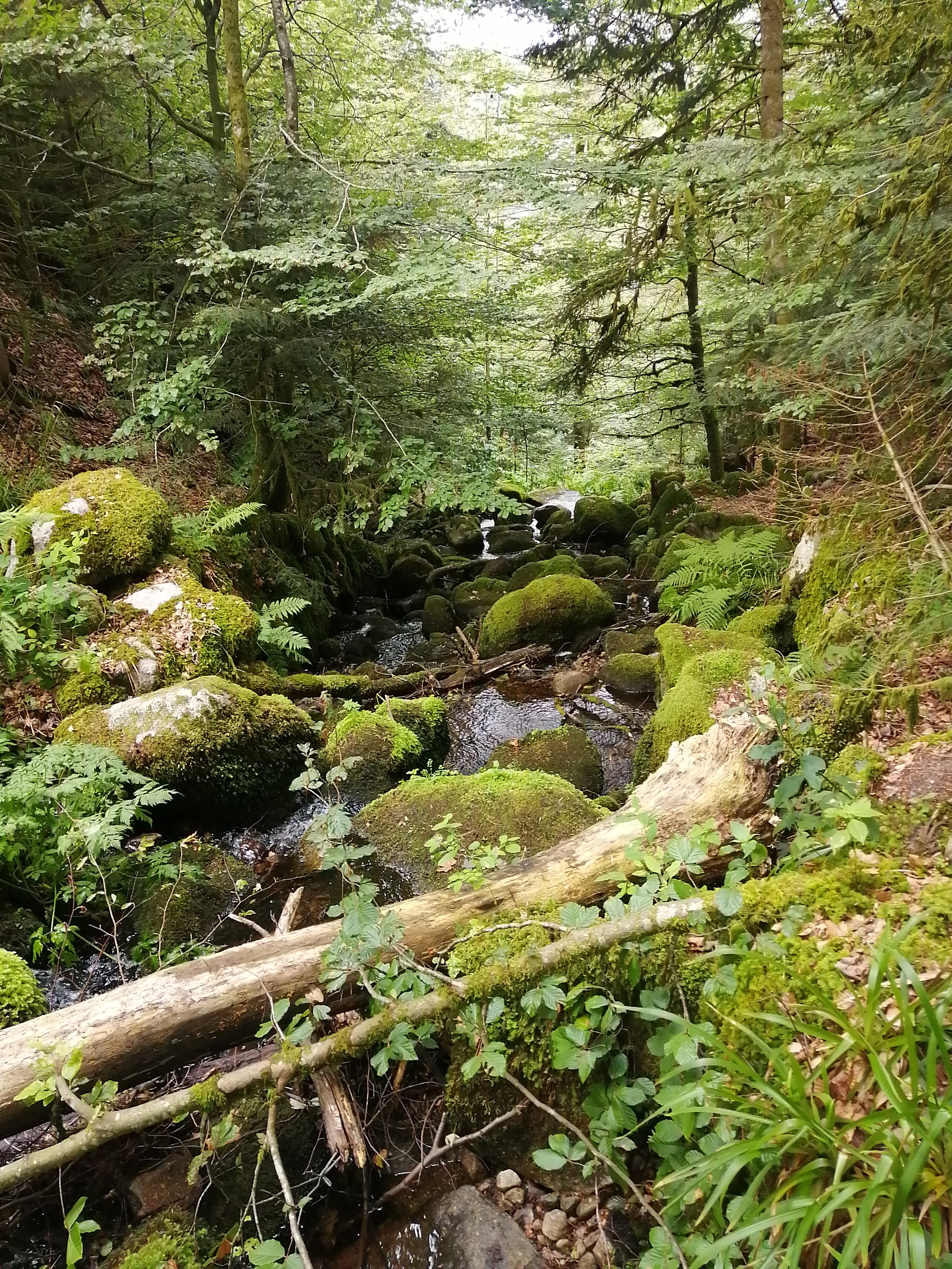 Photo n° 2 de l'avis de lemee.a fait le 16/07/2023 à 16:18