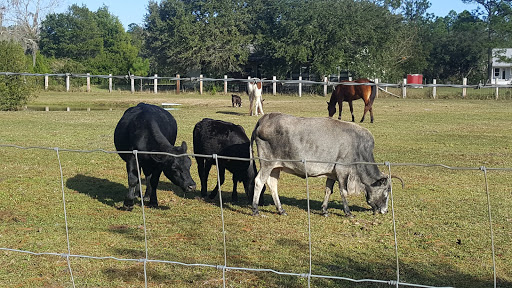 Golf Club «Palm Valley Golf Club», reviews and photos, 1075 Palm Valley Rd, Ponte Vedra Beach, FL 32081, USA