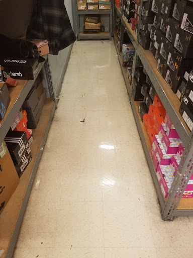 Sporting Goods Store «Big 5 Sporting Goods - Capitola», reviews and photos, 1600 41st Ave, Capitola, CA 95010, USA