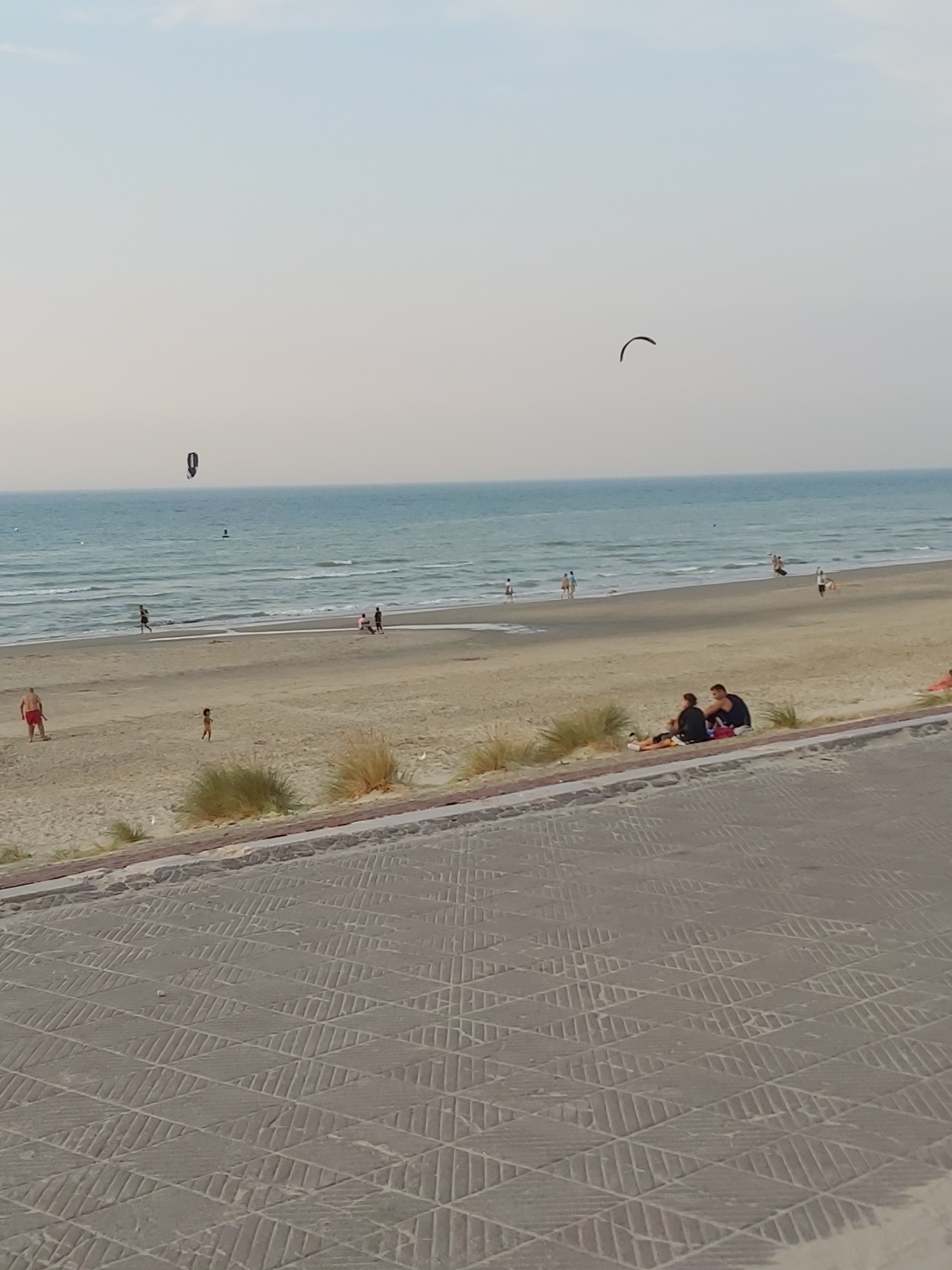 Photo n° 3 de l'avis de Quique.r fait le 12/08/2020 à 21:29