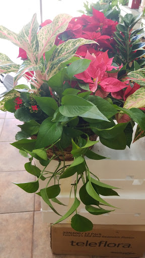 Florist «DJ FLOWERS & GIFTS», reviews and photos, 533 TX-121, Lewisville, TX 75067, USA