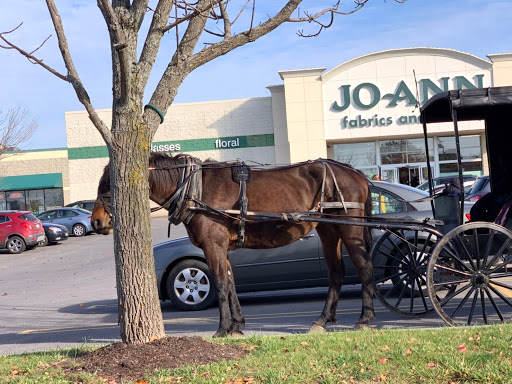Fabric Store «Jo-Ann Fabrics and Crafts», reviews and photos, 4154 NY-31, Clay, NY 13041, USA