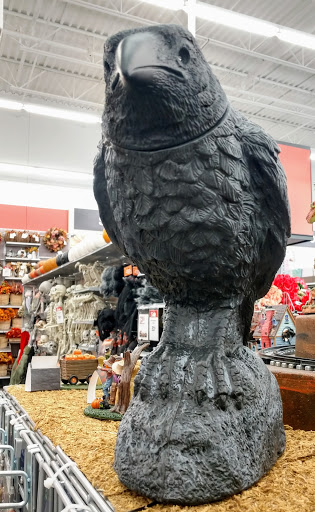 Craft Store «Michaels», reviews and photos, 1284 S Amity Rd, Conway, AR 72032, USA