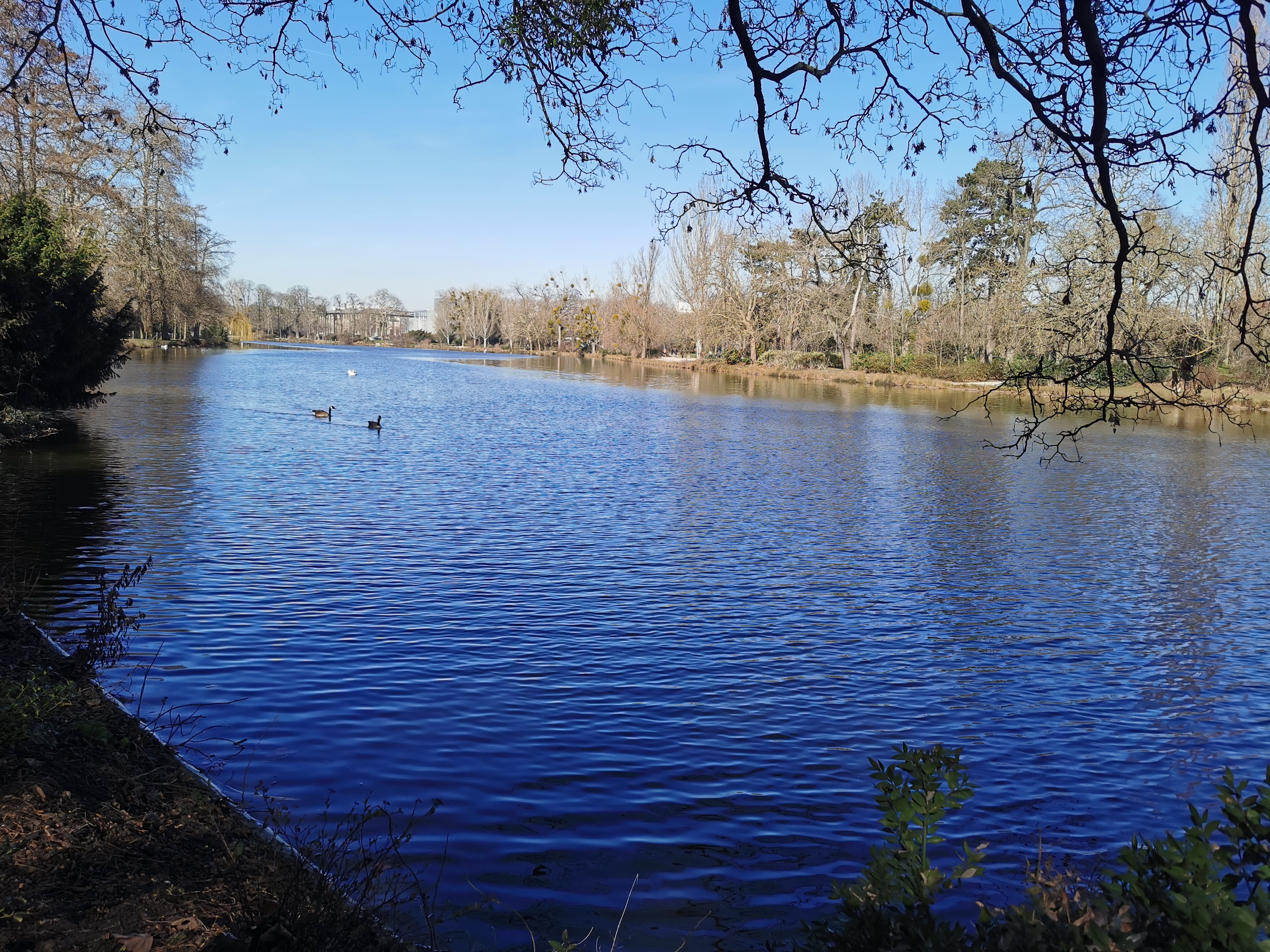 Photo n° 1 de l'avis de Abdelouahab.o fait le 30/06/2023 à 15:28