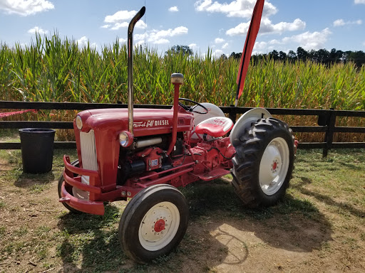 Farm «Buford Corn Maze.», reviews and photos, 4470 Bennett Rd, Buford, GA 30519, USA