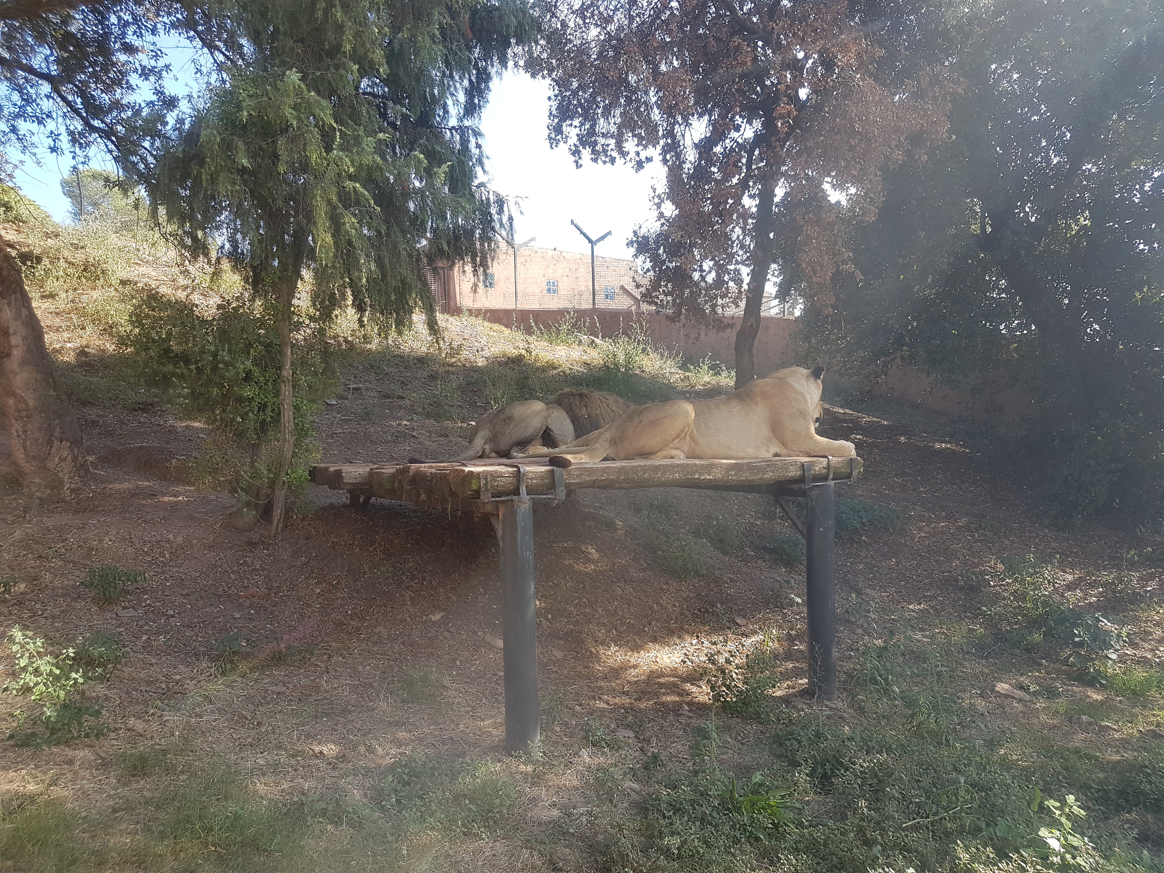Photo n° 18 de l'avis de Armand.A fait le 09/09/2018 à 19:52