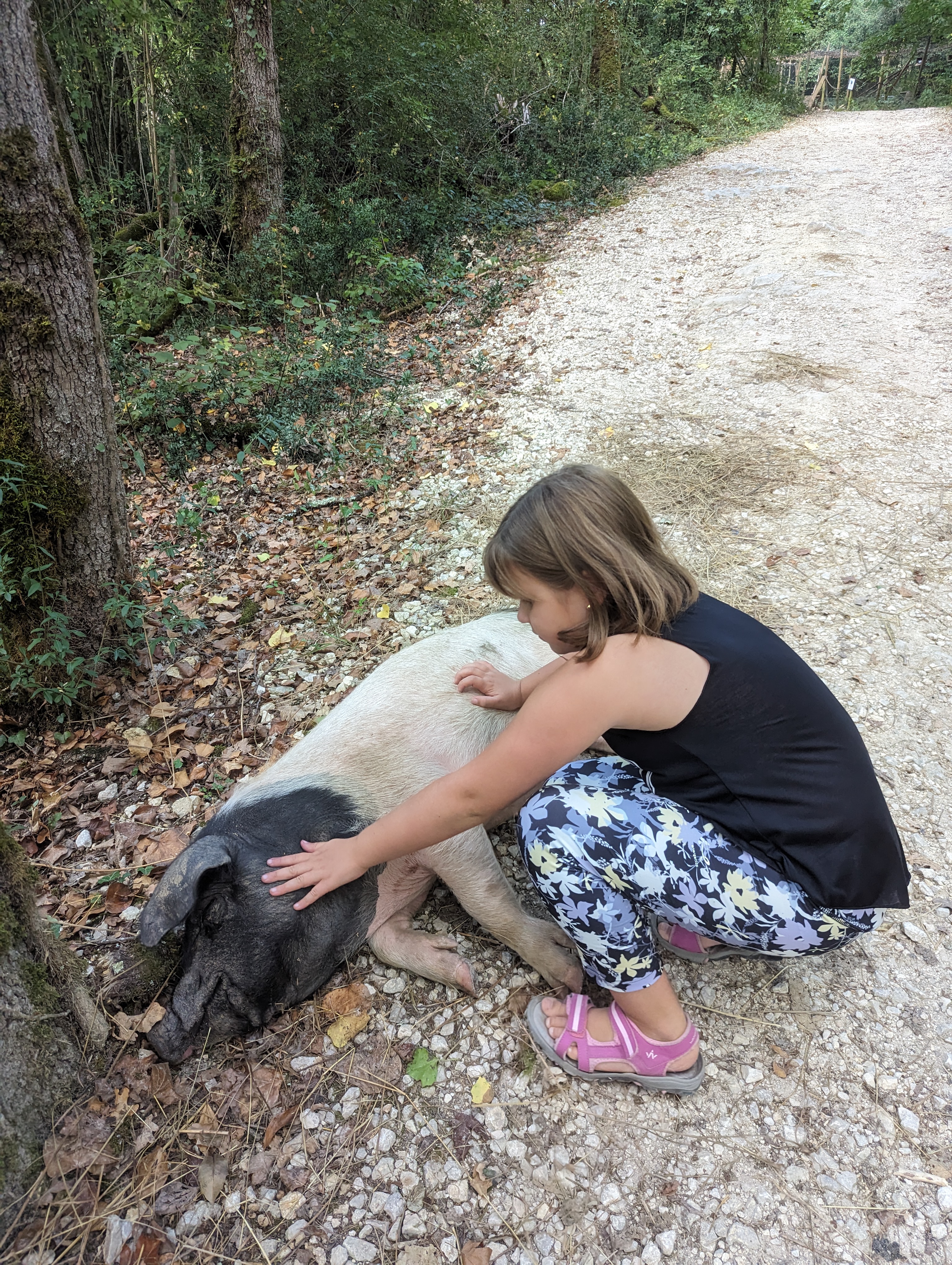 Photo n° 4 de l'avis de Laurie.a fait le 01/09/2023 à 13:19