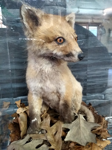 Park «Martha Lafite Thompson Nature Sanctuary», reviews and photos, 407 N La Frenz Rd, Liberty, MO 64068, USA