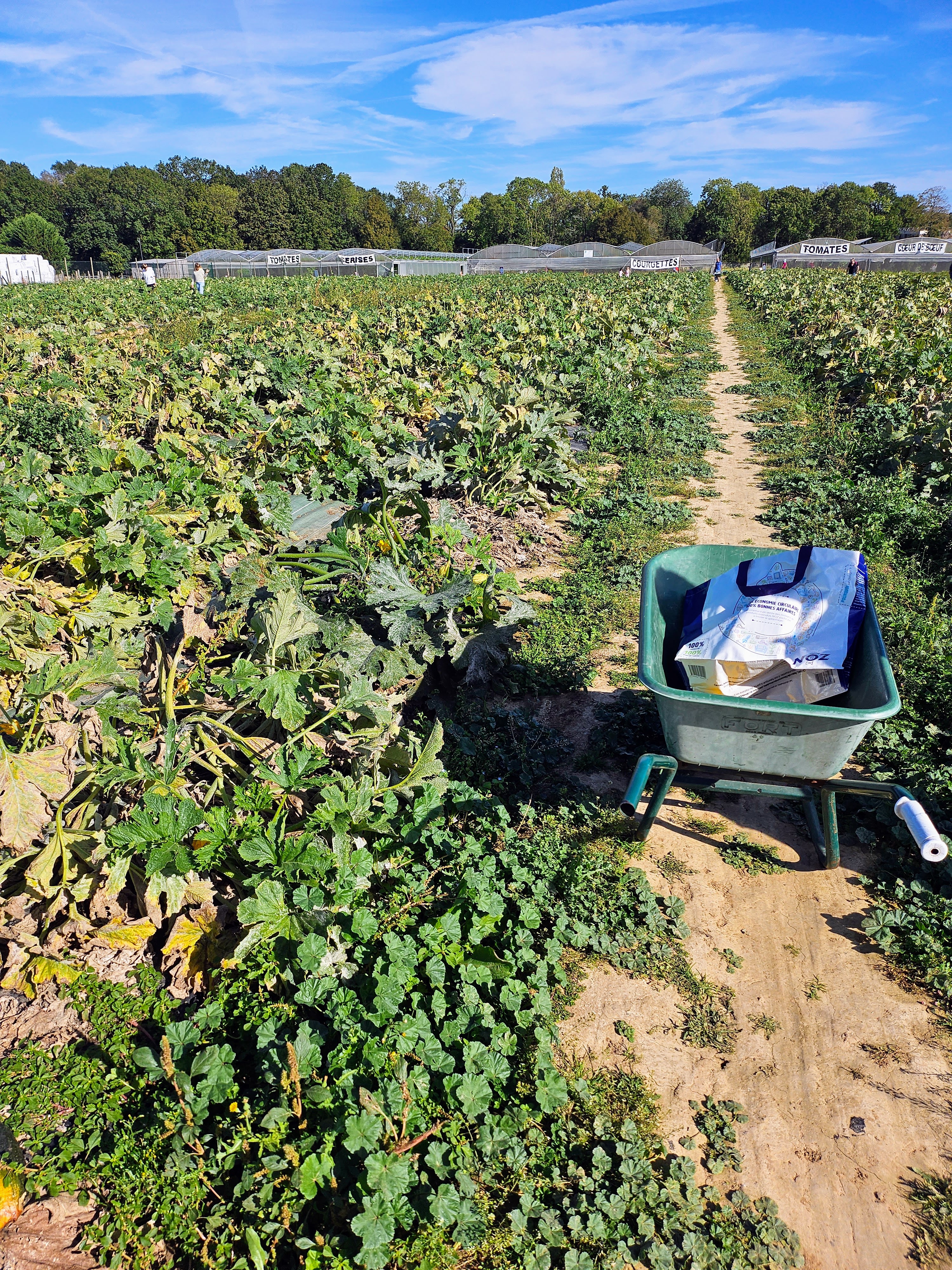 Photo n° 2 de l'avis de Yannick.E fait le 12/11/2023 à 12:06