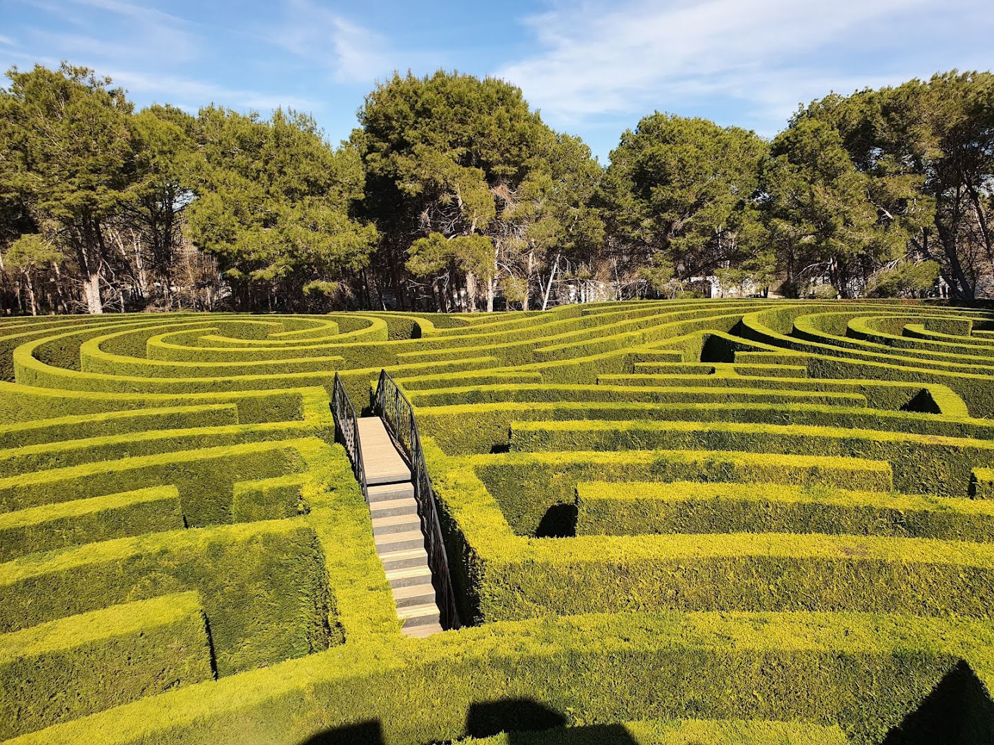 Laberinto del parque de Tentegorra