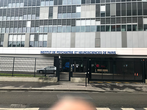 Institute Psychiatry And Neuroscience De Paris