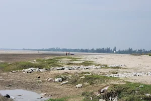 Boguran Jalpai Sea Beach,East Midnapore,West Bengal image