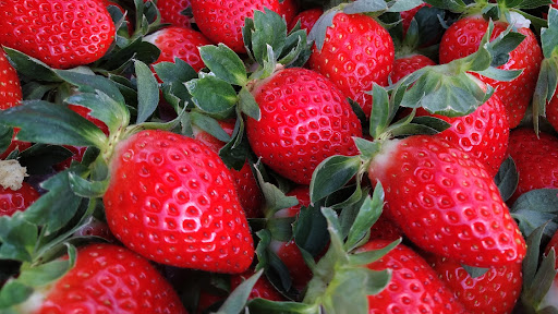 いちごの関園 今シーズンの営業も始まりました 久喜市の 生産 直売の農場 いちご狩りは行っておりません